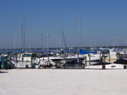 Boats in the Marina